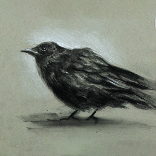 Corso di disegno dalla A alla Z – Il chiaroscuro